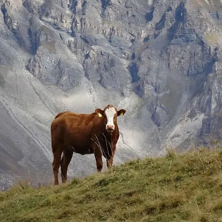 Beautiful In Val D'herens, Dağ evi